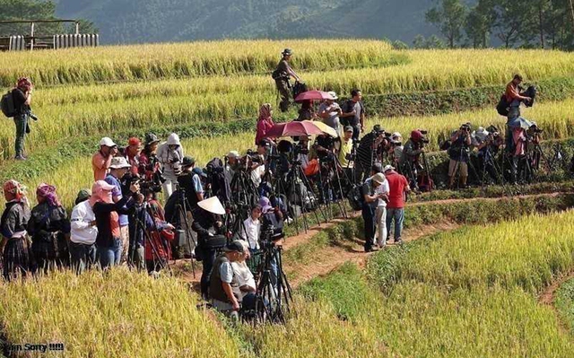 Ngọn đồi ở Mù Cang Chải là điểm ngắm mùa lúa chín siêu thực: Du khách nhận xét "Nhất định phải đến!" - Ảnh 4.