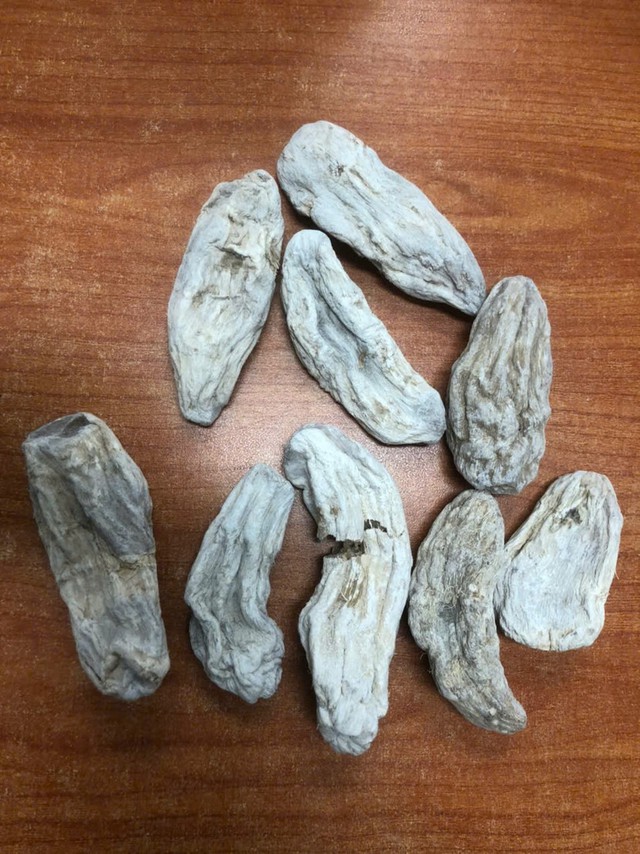 Kh&aacute;m x&eacute;t khẩn cấp tại 2 tỉnh th&agrave;nh, bắt khẩn cấp Nguyễn Thị Nguyệt v&agrave; 2 người kh&aacute;c - Ảnh 2.