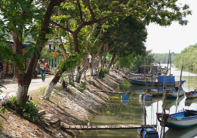 Ngọn núi ở TP.HCM cao chỉ hơn 10m: Được ví như "núi dễ leo nhất Việt Nam", xung quanh là hệ sinh thái hiếm có - Ảnh 4.