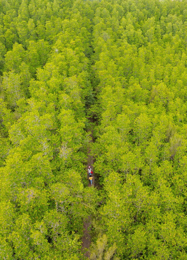 Ngọn núi ở TP.HCM cao chỉ hơn 10m: Được ví như "núi dễ leo nhất Việt Nam", xung quanh là hệ sinh thái hiếm có - Ảnh 5.
