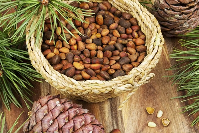 Loại quả đắt đỏ bậc nhất thế giới giá tới cả triệu đồng/kg: Việt Nam lại sở hữu cả vùng trồng rộng lớn - Ảnh 1.