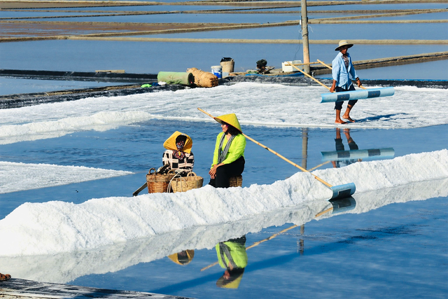 Ngọn núi ở TP.HCM cao chỉ hơn 10m: Được ví như "núi dễ leo nhất Việt Nam", xung quanh là hệ sinh thái hiếm có - Ảnh 6.