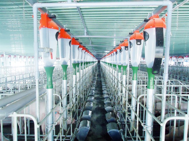 Chuyện về "ông Tây" góp một phần cho tham vọng "dẫn đầu Nông nghiệp ASEAN" của Việt Nam - Ảnh 3.