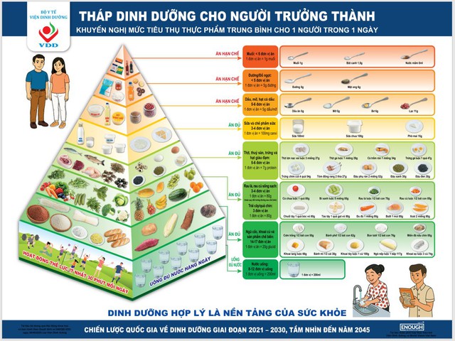 PGS Viện Dinh dưỡng Quốc gia n&oacute;i về th&aacute;p dinh dưỡng ngược của Mỹ: Người Việt học được g&igrave;? - Ảnh 1.