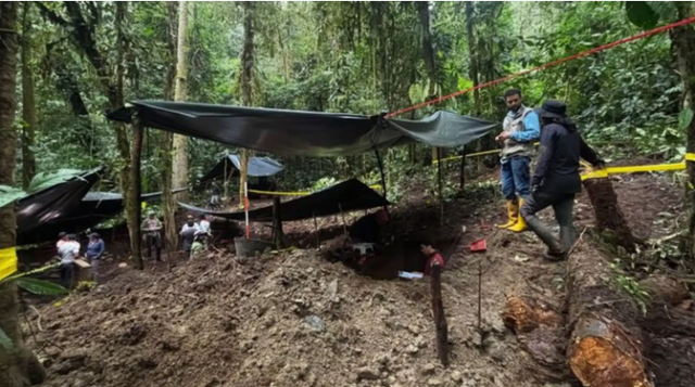 Quét laser xuyên rừng, các nhà khoa học sửng sốt phát hiện "thứ" bị che giấu suốt hàng nghìn năm - Ảnh 2.