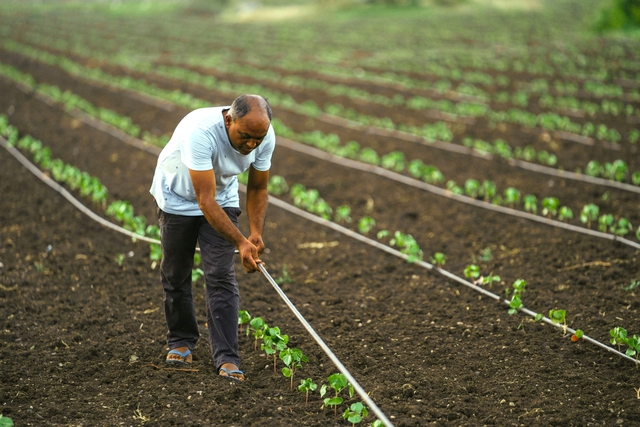 "Phát minh thế kỷ" của Israel rung chuyển thế giới, làm bùng nổ thị trường gần 10 tỷ USD - Ảnh 1.