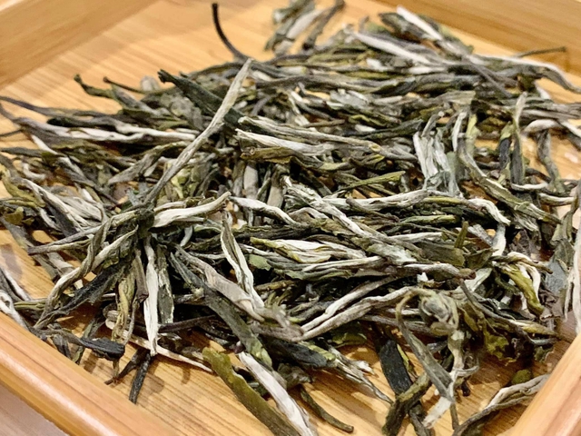 Loại tr&agrave; gần 700 triệu đồng/kg ở Việt Nam: Sống ở độ cao tr&ecirc;n 1.500 m, c&oacute; tới 3 l&yacute; do khiến gi&aacute; đắt đỏ - Ảnh 3.