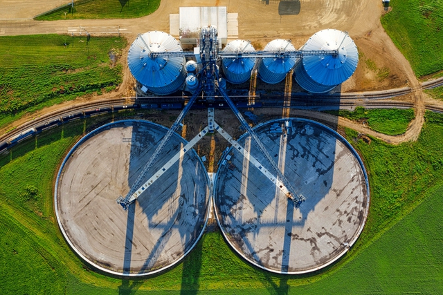 Israel thu 2 tỷ đ&ocirc;/năm nhờ xuất khẩu "mặt h&agrave;ng v&ocirc; h&igrave;nh": Mỹ, UAE, ch&acirc;u Phi "nghiện d&ugrave;ng" - Ảnh 2.