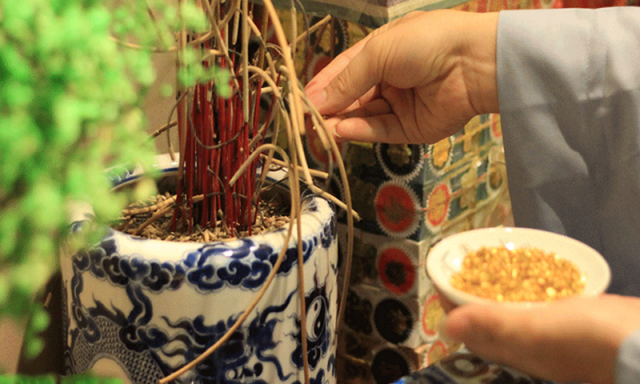 Khi nào nên tỉa chân hương: Rằm, ngày Ông Công Ông Táo hay cuối tháng? Tỉa xong để lại bao nhiêu nén? - Ảnh 1.