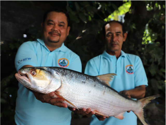 Lần theo dấu vết của cá thể lạ, láng giềng Việt Nam bất ngờ phát hiện loài vật "tuyệt chủng" gần 20 năm - Ảnh 1.