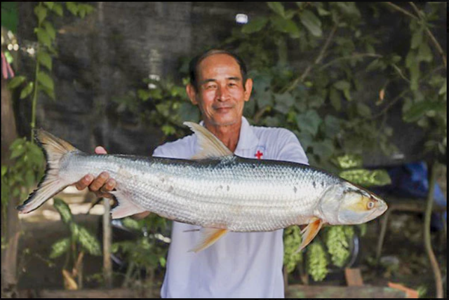 Lần theo dấu vết của cá thể lạ, láng giềng Việt Nam bất ngờ phát hiện loài vật "tuyệt chủng" gần 20 năm - Ảnh 3.