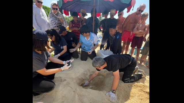 Cả bãi biển sững lại khi sinh vật đẻ một lèo 125 quả trứng, du khách vây quanh xem không rời mắt - Ảnh 4.