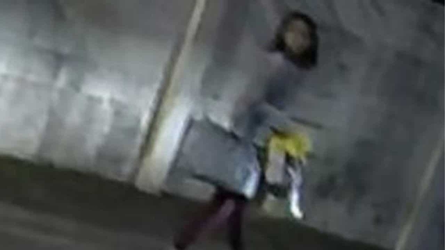 Chủ nhà bị sát hại, nữ giúp việc là nghi phạm chính, đã trốn thoát ra nước ngoài - Ảnh 3.