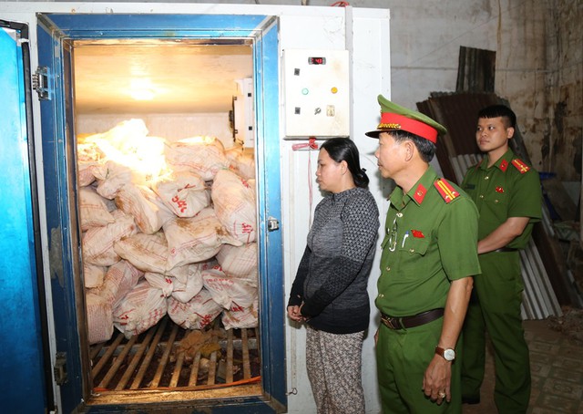 Thi h&agrave;nh lệnh bắt tạm giam v&agrave; kh&aacute;m x&eacute;t đối với L&ecirc; Thị B&iacute;ch Phượng - Ảnh 1.