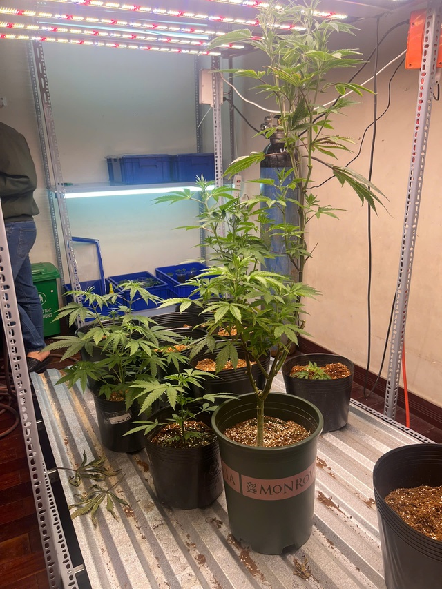 Đột k&iacute;ch ng&ocirc;i nh&agrave; số 745, bắt Đỗ Hữu Duy sinh năm 2003 trong chuy&ecirc;n &aacute;n lớn nhất  - Ảnh 1.