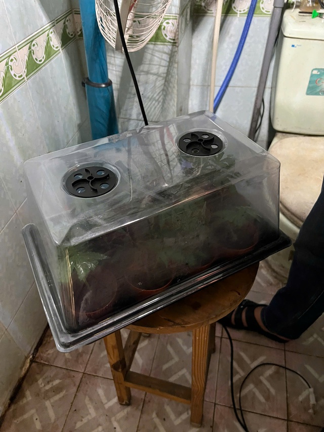 Đột k&iacute;ch ng&ocirc;i nh&agrave; số 745, bắt Đỗ Hữu Duy sinh năm 2003 trong chuy&ecirc;n &aacute;n lớn nhất  - Ảnh 3.