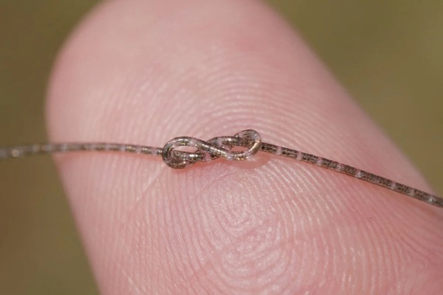 Phát minh "chip chịu được lực đè 15,6 tấn" có thể tăng tốc bùng nổ thị trường gần 10 tỷ USD - Ảnh 1.