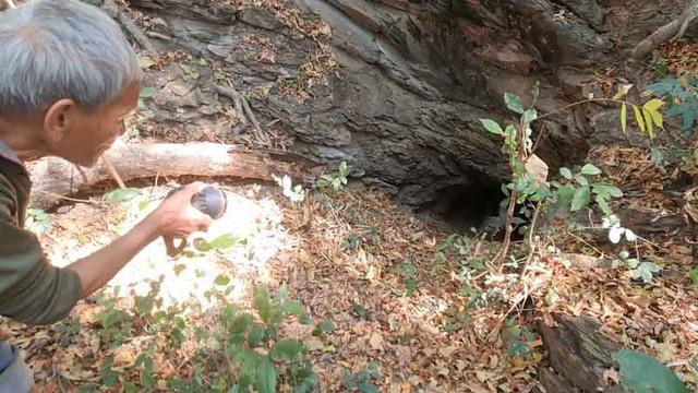 Gia súc liên tục mất tích, dân làng hoang mang kéo đi tìm con lươn 800 năm tuổi - Ảnh 1.