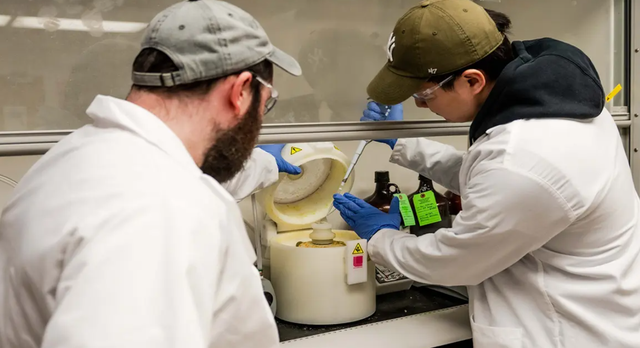 Pin hydrogel lấy cảm hứng từ lươn điện mang lại công suất kỷ lục - Ảnh 1.