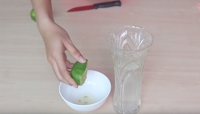 Cắm hoa tươi mãi không tàn, hóa ra chỉ cần pha nước đúng cách: Mỗi loại hoa lại khác nhau - Ảnh 4.