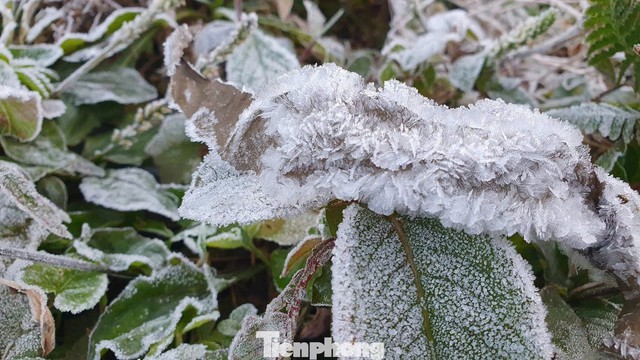 Ngoài Fansipan, Mẫu Sơn, hôm nay băng giá xuất hiện ở cả điểm miền Trung này - Ảnh 1.