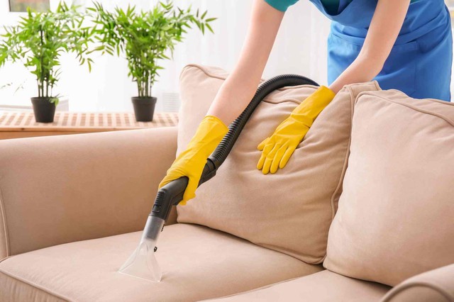 Lời khuyên cho các gia đình đang sử dụng sofa vải - Ảnh 2.