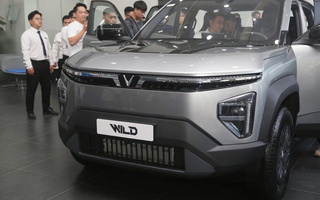 Việt Nam xuất hiện kỷ lục chưa từng c&oacute; ở d&ograve;ng xe b&aacute;n tải - Ảnh 2.