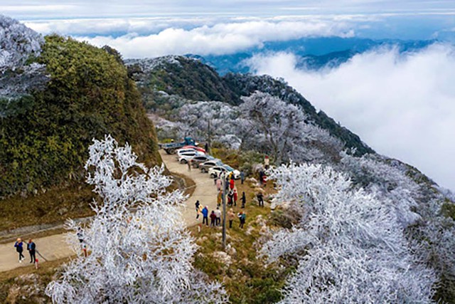 Phát hiện đỉnh núi cao 1.931 m ở Việt Nam, từng lạnh -9°C, mùa đông phủ băng trắng đẹp như châu Âu - Ảnh 1.