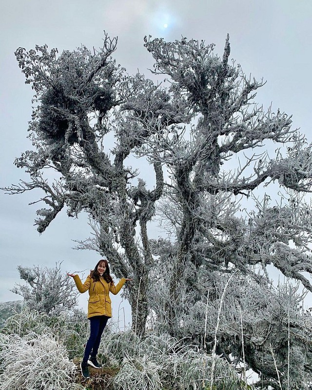 Phát hiện đỉnh núi cao 1.931 m ở Việt Nam, từng lạnh -9°C, mùa đông phủ băng trắng đẹp như châu Âu - Ảnh 7.