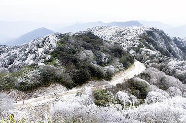 Phát hiện đỉnh núi cao 1.931 m ở Việt Nam, từng lạnh -9°C, mùa đông phủ băng trắng đẹp như châu Âu - Ảnh 2.