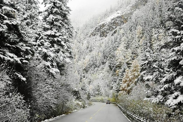 Phát hiện đỉnh núi cao 1.931 m ở Việt Nam, từng lạnh -9°C, mùa đông phủ băng trắng đẹp như châu Âu - Ảnh 6.