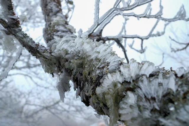 Phát hiện đỉnh núi cao 2.860 m ở Việt Nam, từng lạnh -5°C, mùa đông băng phủ trắng đẹp như trời Âu - Ảnh 1.