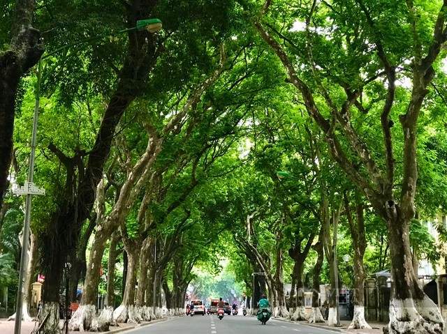 Th&aacute;ng 10, H&agrave; Nội kh&ocirc;ng chỉ c&oacute; hoa sữa: H&atilde;y đến những nơi n&agrave;y để cảm nhận trọn vẹn hương sắc m&ugrave;a thu - Ảnh 3.