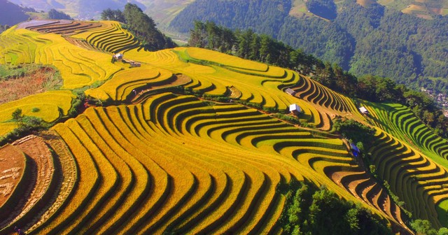 Phát hiện đỉnh núi cao hơn 1.500m ở Việt Nam, từng lạnh dưới 0°C, cây cối phủ trắng băng giá như trời Âu - Ảnh 3.