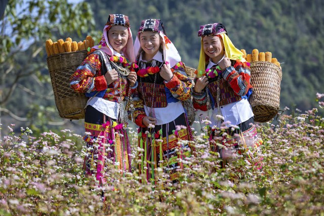 Làng du lịch tốt nhất thế giới cấm xe chở khách vào thôn: Du khách ngắm hoa tam giác mạch thế nào? - Ảnh 3.