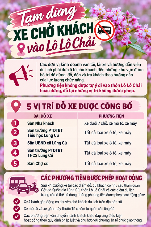 Vì sao Hà Nội cấm trồng cây dâu da và ảnh hưởng đến đô thị 2026 - Ảnh 1. Vì sao Hà Nội cấm trồng cây dâu da và ảnh hưởng đến đô thị 2026 - Ảnh 1.