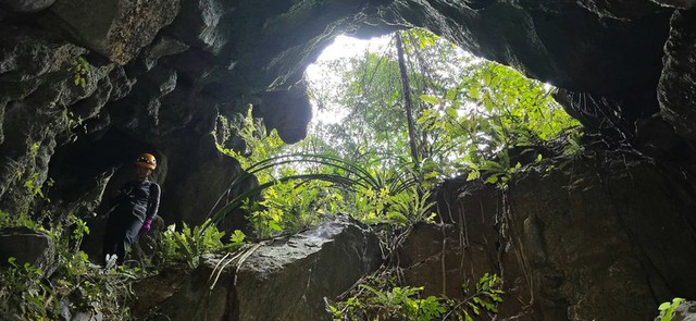 Phát hiện hố sụt sâu 120m ở Việt Nam nhờ Google Earth, đoàn thám hiểm liền xuống đáy và thấy điều bất ngờ - Ảnh 5.