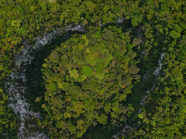 Phát hiện hố sụt sâu 120m ở Việt Nam nhờ Google Earth, đoàn thám hiểm liền xuống đáy và thấy điều bất ngờ - Ảnh 3.