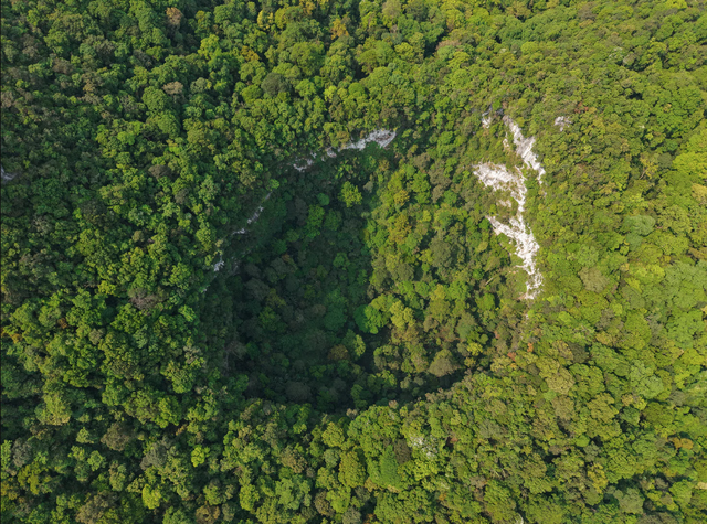 Phát hiện hố sụt sâu 120m ở Việt Nam nhờ Google Earth, đoàn thám hiểm liền xuống đáy và thấy điều bất ngờ - Ảnh 1.