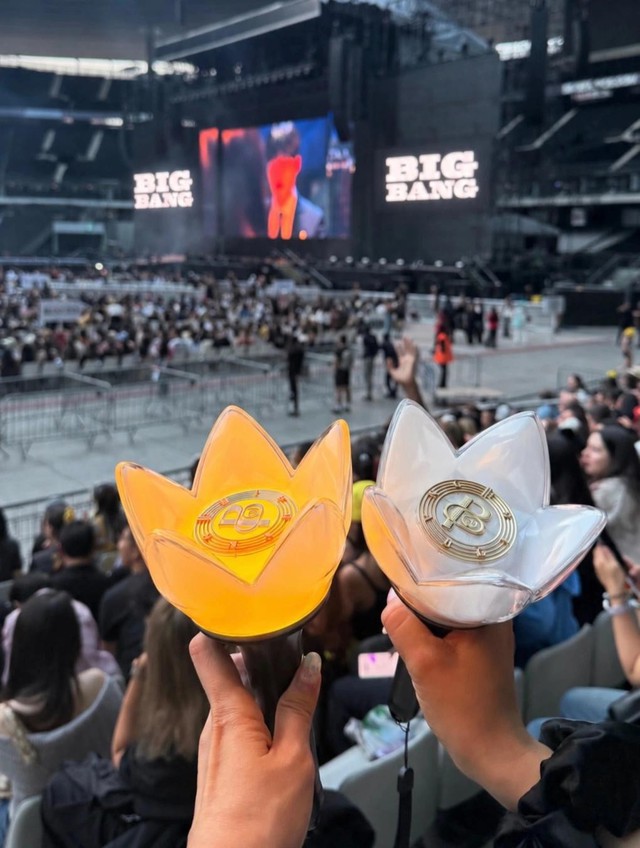 Đu concert BIGBANG tốn hàng chục triệu đồng, nhiều khán giả chỉ được ngắm thần tượng từ xa - Ảnh 4.