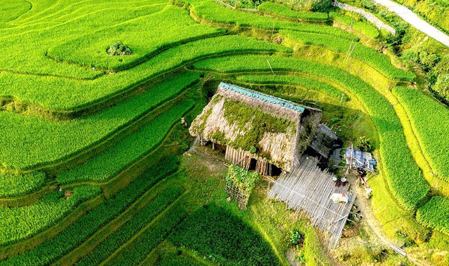 Phát hiện bản làng ở độ cao hơn 1.000m tại Việt Nam, 7 tháng mỗi năm mái nhà phủ xanh như tấm thảm nhung - Ảnh 1.