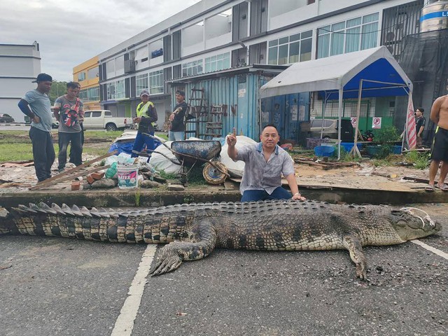 Bắt được