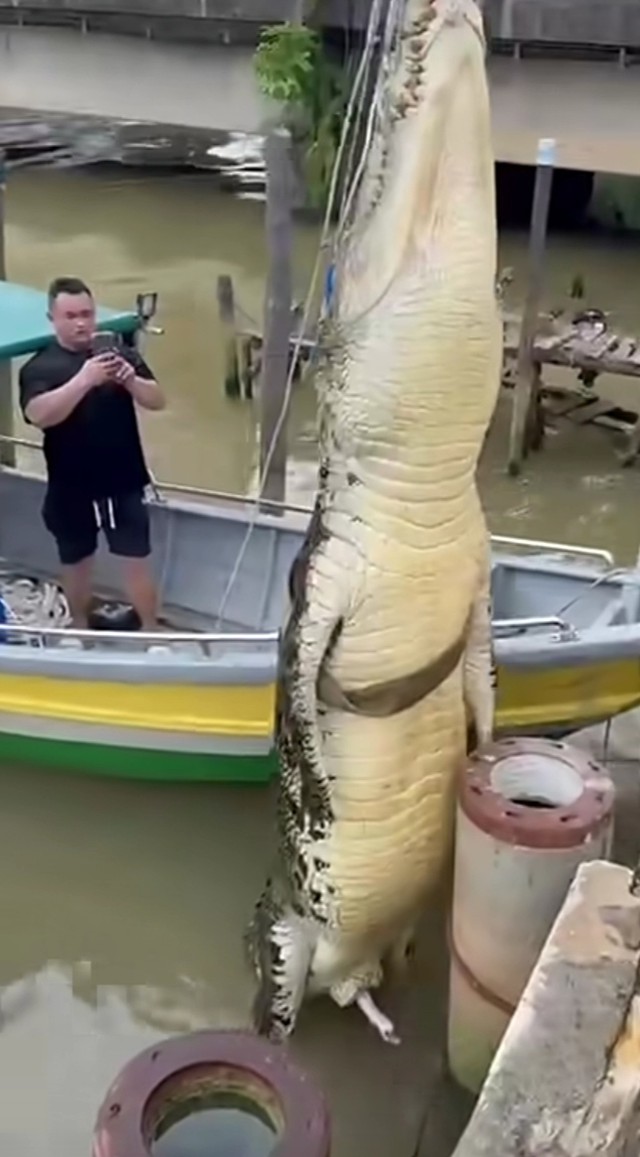 Bắt được