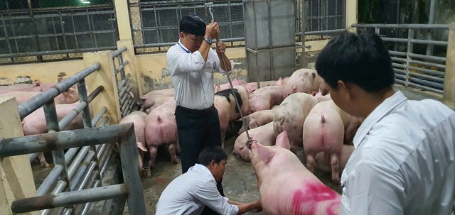 Công an đồng loạt khám xét khẩn cấp tại 14 địa điểm trong một chuyên án đặc biệt lớn - Ảnh 2.