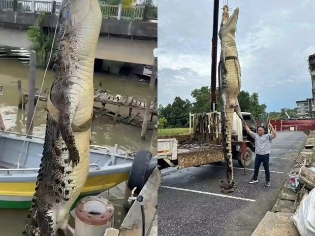 Bắt được
