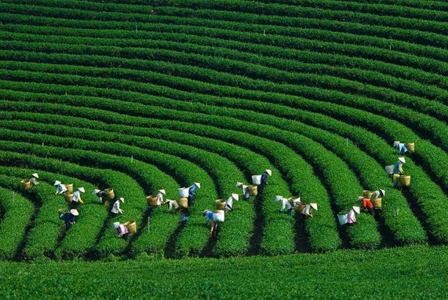 Ph&aacute;t hiện ng&ocirc;i l&agrave;ng hơn 200 người 'ăn chung nồi cơm', tiền l&agrave;m ra g&oacute;p quỹ chung: Được thế giới vinh danh - Ảnh 8.