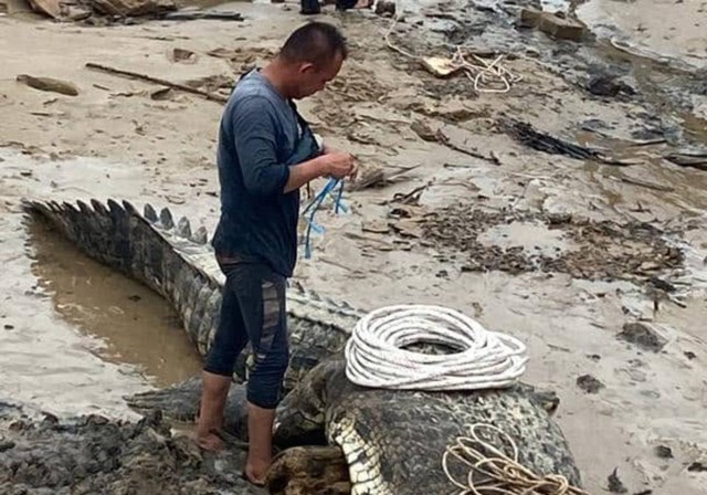 Bắt được 3 