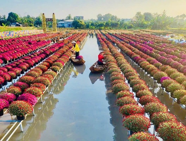 Phát hiện ngôi làng ở Việt Nam có hơn 2.000 giống hoa 'không chạm đất', mỗi lần chăm cây phải làm việc này - Ảnh 2.