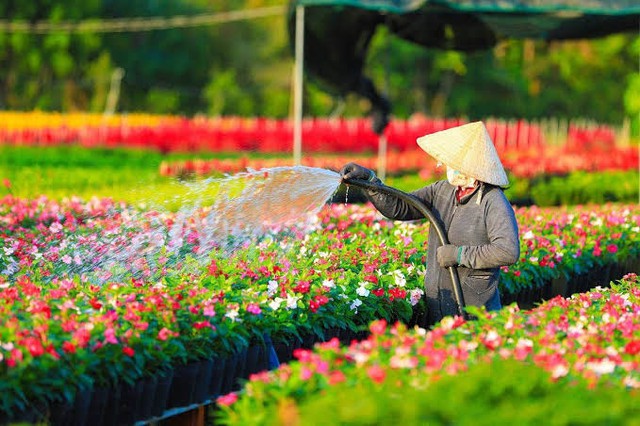 Phát hiện ngôi làng ở Việt Nam có hơn 2.000 giống hoa 'không chạm đất', mỗi lần chăm cây phải làm việc này - Ảnh 3.