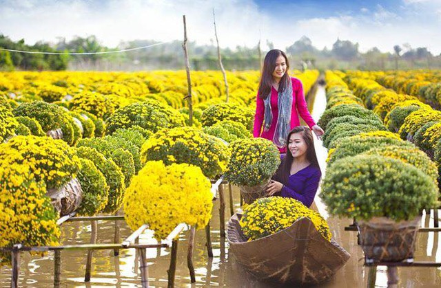 Phát hiện ngôi làng ở Việt Nam có hơn 2.000 giống hoa 'không chạm đất', mỗi lần chăm cây phải làm việc này - Ảnh 4.